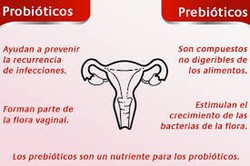 Prebióticos y Probióticos Vaginales